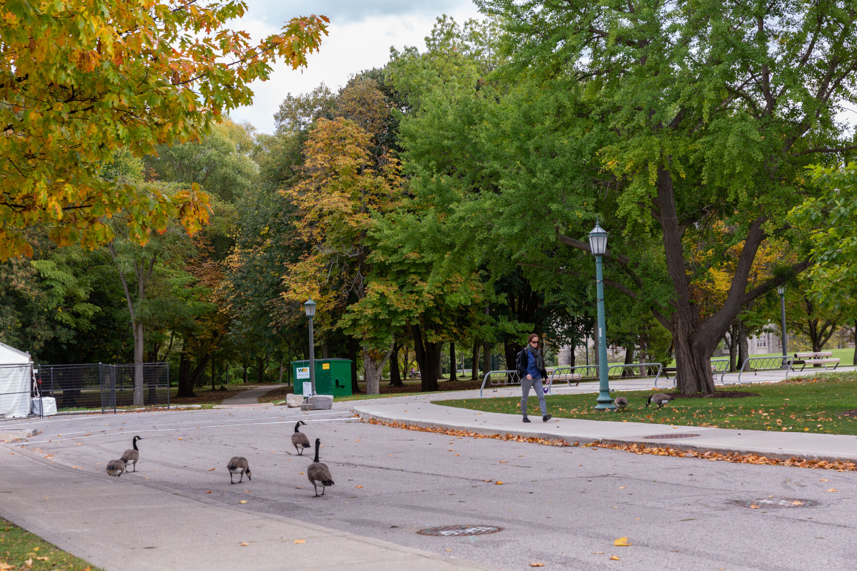 Stock Photos of Campus - 22.jpg